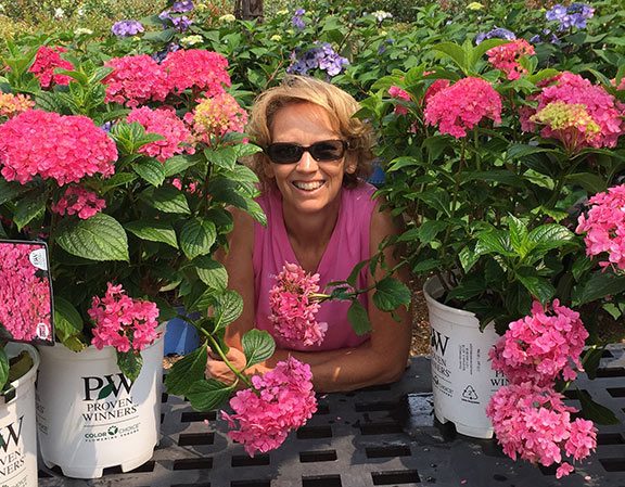 sandy-with-pink-hydrangeas-image-sandys-back-porch