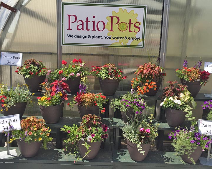 sandys-back-porch-image-of-patio-pots